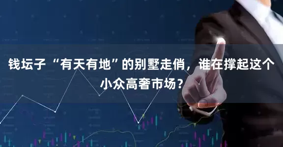 钱坛子 “有天有地”的别墅走俏，谁在撑起这个小众高奢市场？