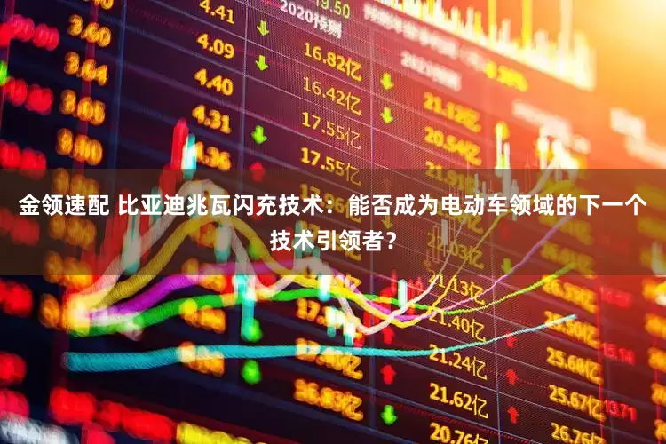 金领速配 比亚迪兆瓦闪充技术：能否成为电动车领域的下一个技术引领者？