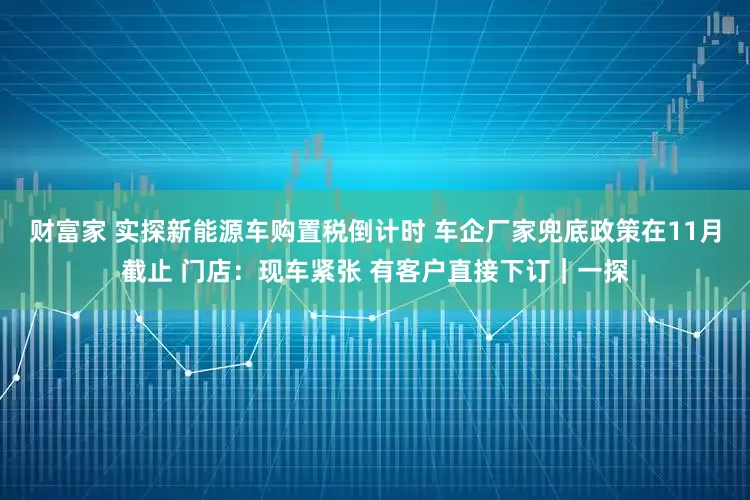 财富家 实探新能源车购置税倒计时 车企厂家兜底政策在11月截止 门店：现车紧张 有客户直接下订｜一探